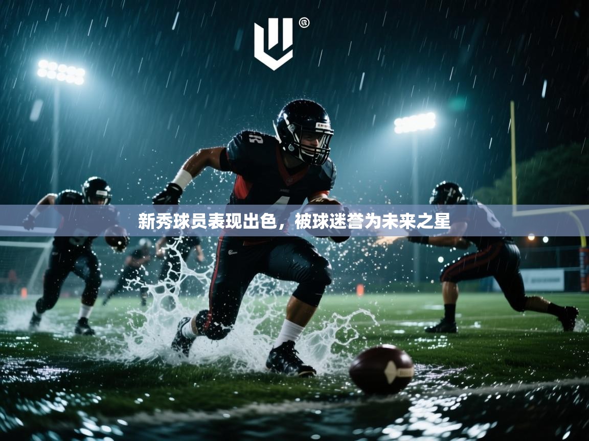 新秀球员表现出色，被球迷誉为未来之星  第2张