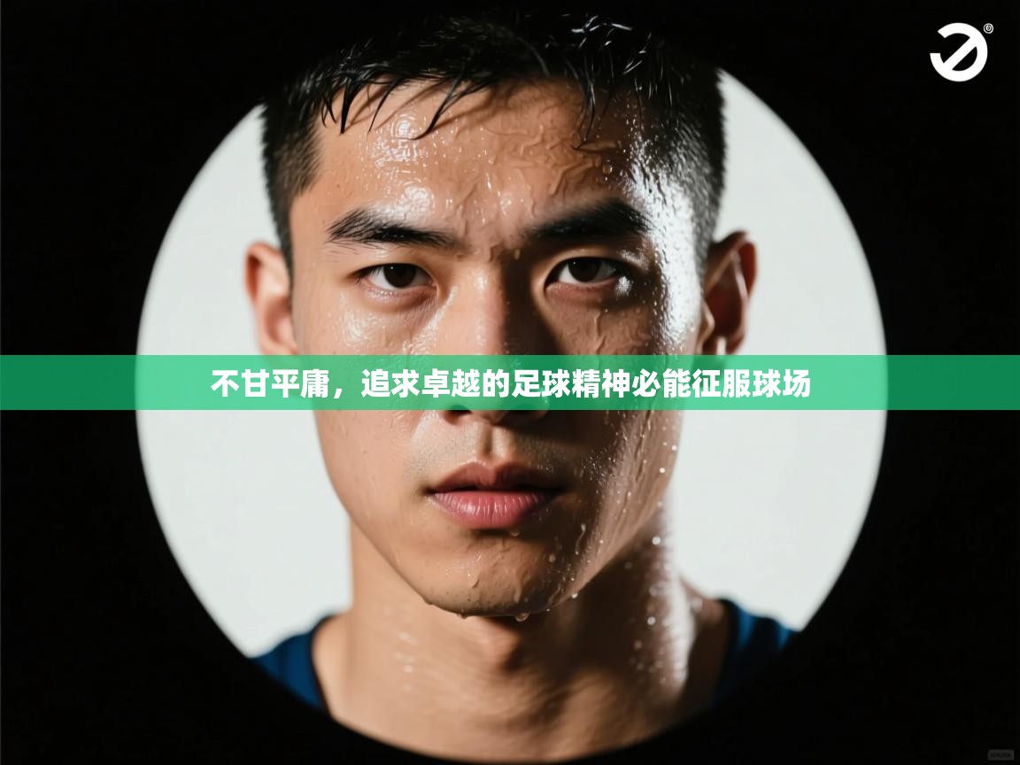 不甘平庸,追求卓越的足球精神必能征服球场 第2张